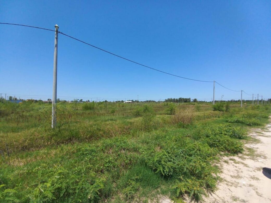 lote-lagos-del-leyes